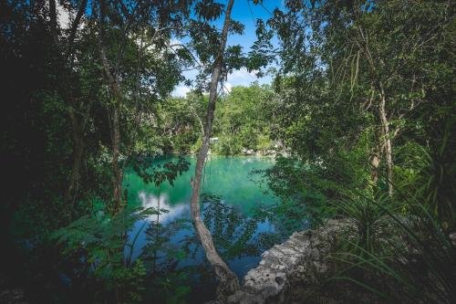 Imagen 1 de Wakax Hacienda - Cenote & Boutique Hotel